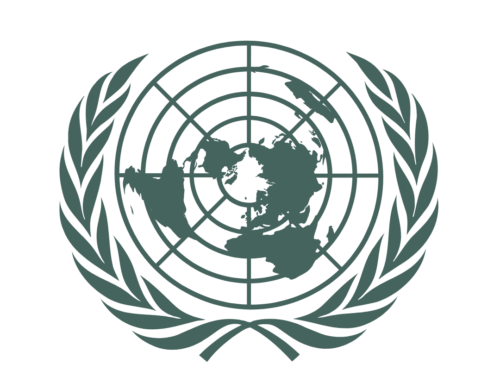 VN-comité Genève 2024